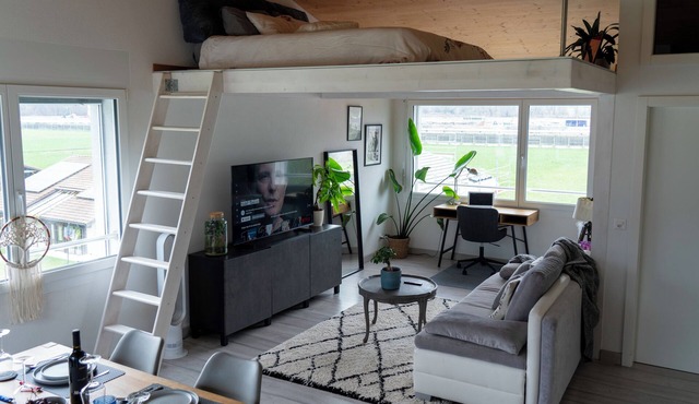 STUDIO.LOFT.MOUNTAINS in Collombey-Muraz
