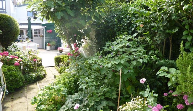 Studio "Zo maar" in Colijnsplaat