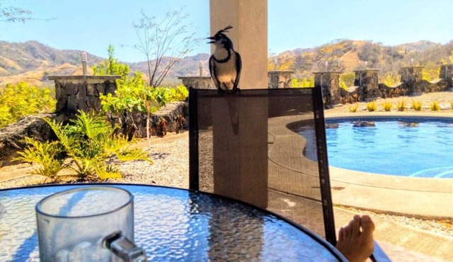 Stunning Mountain View 2 Story Loft Townhome. Beautiful Interior. Don't Wait!