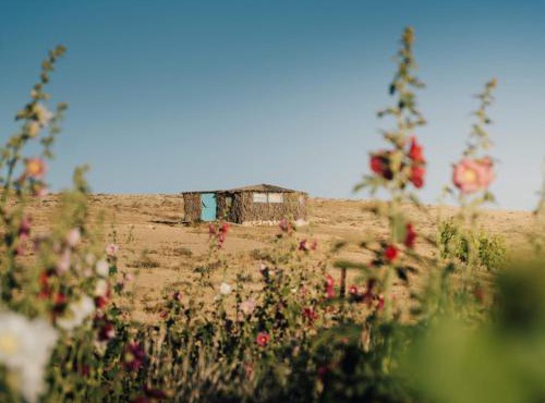 Succah in the Desert