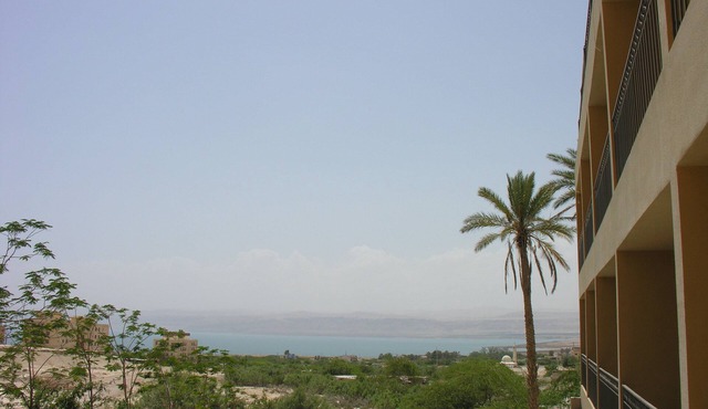 Thara Dead Sea