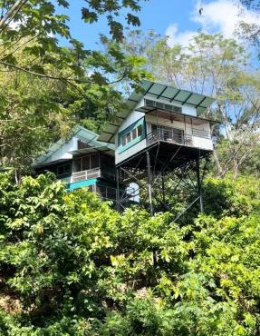 The Emerald Haven