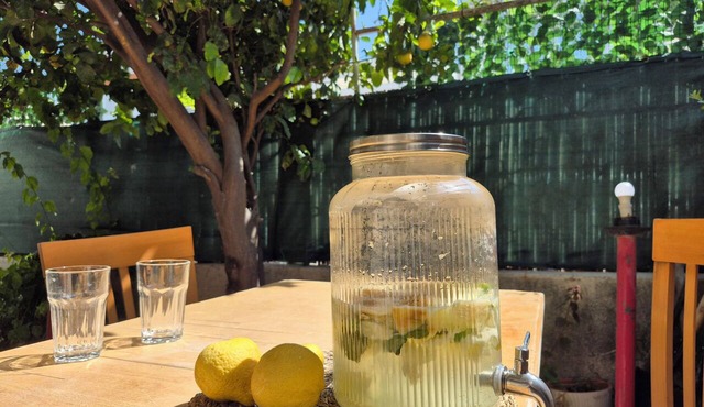 The Lemon House in Tel Aviv
