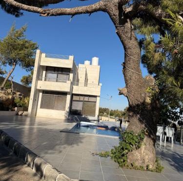The Pine Tree Chalet