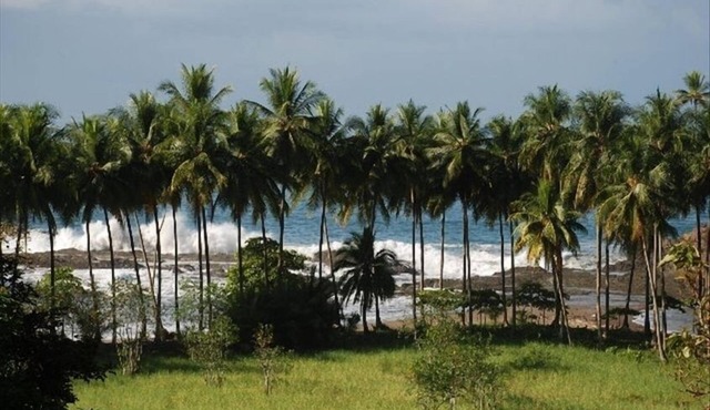 Up Close Ocean View W/Pool-Beach 600 Ft Away- 2nd Flr Studio