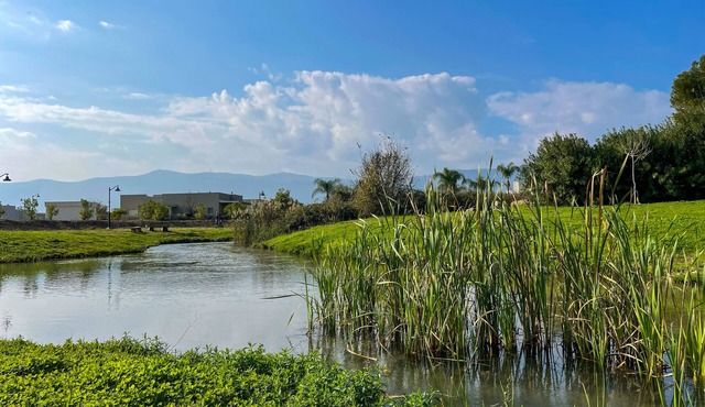 Vacation home at kibbutz Hagoshrim, 5 min walk the river