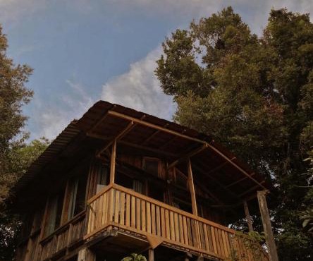 Valchi Hospedaje de Montaña in Copey