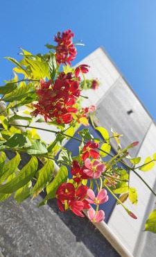 Villa 6
