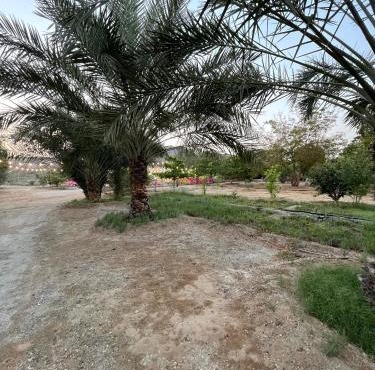 Wadi Alsidra