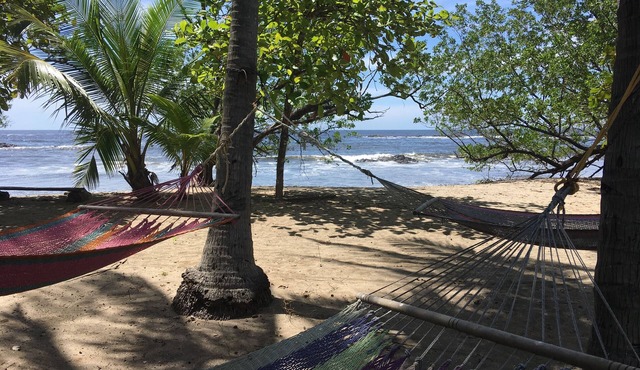 You Imagine Costa Rica Our Location Being on the Beach is What You Imagine