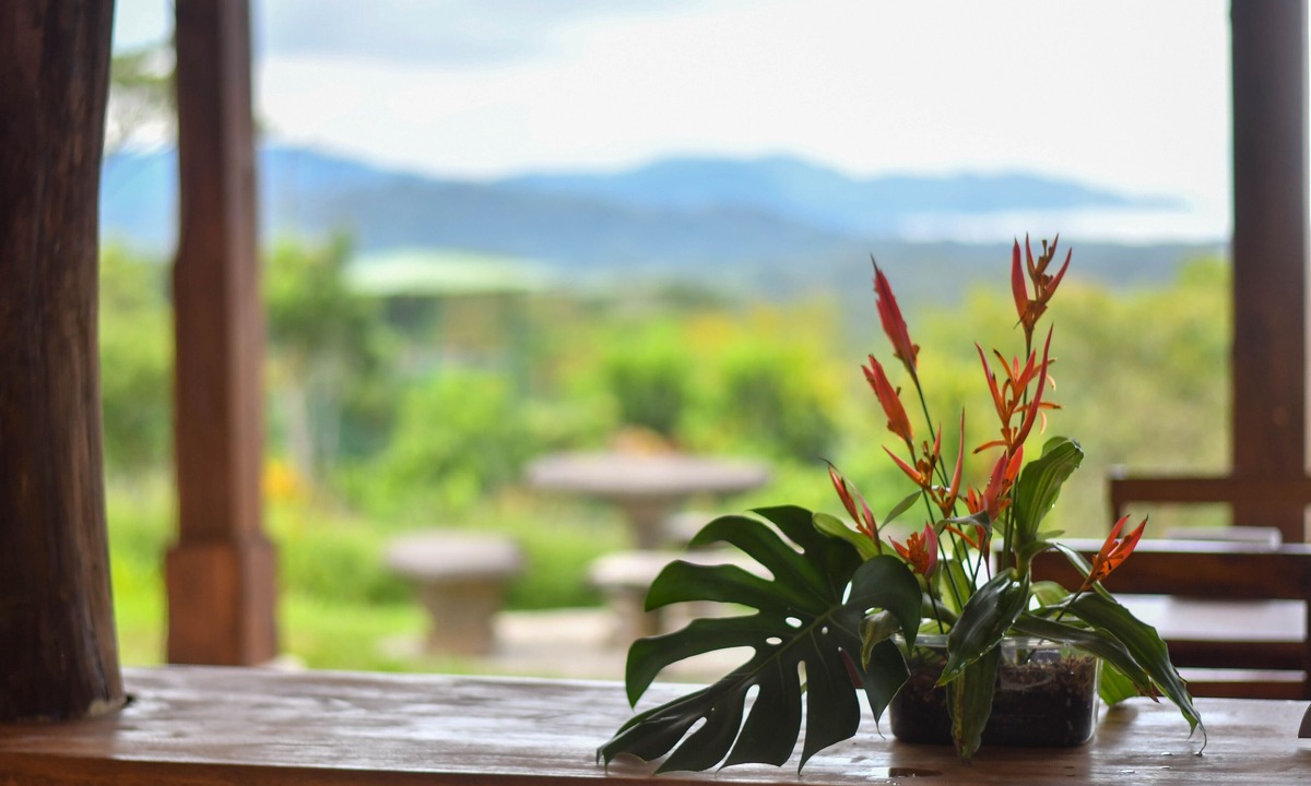 Tarcoles Ski Chalet | Tarcoles Birding Lodge