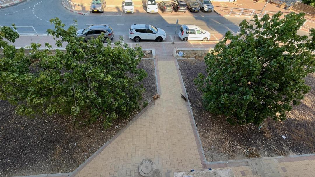 Beersheba Apartment | חדש! נאות מדבר - צמוד ל BGU וסורוקה עם אינטרנט סיבים, מיזוג מלא ו Google TV!