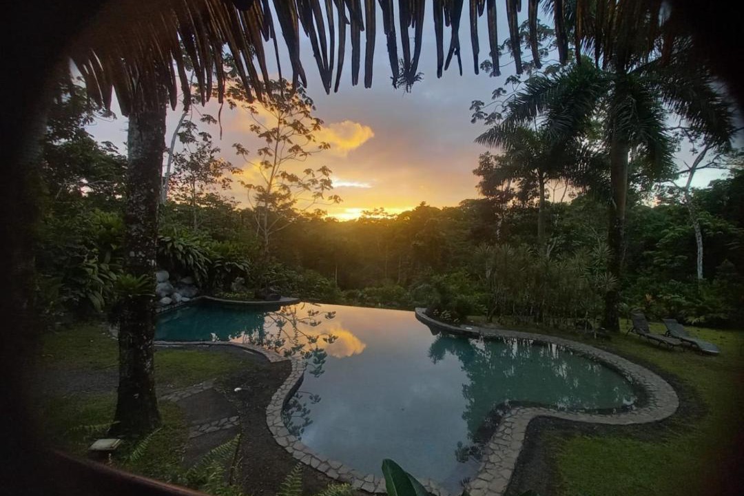 Tirimbina Hotel | Aranwa Sarapiquí Rainforest Lodge