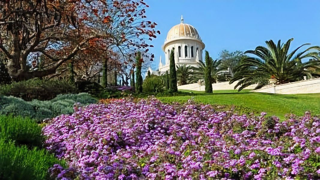 Photo of Buildings in Haifa