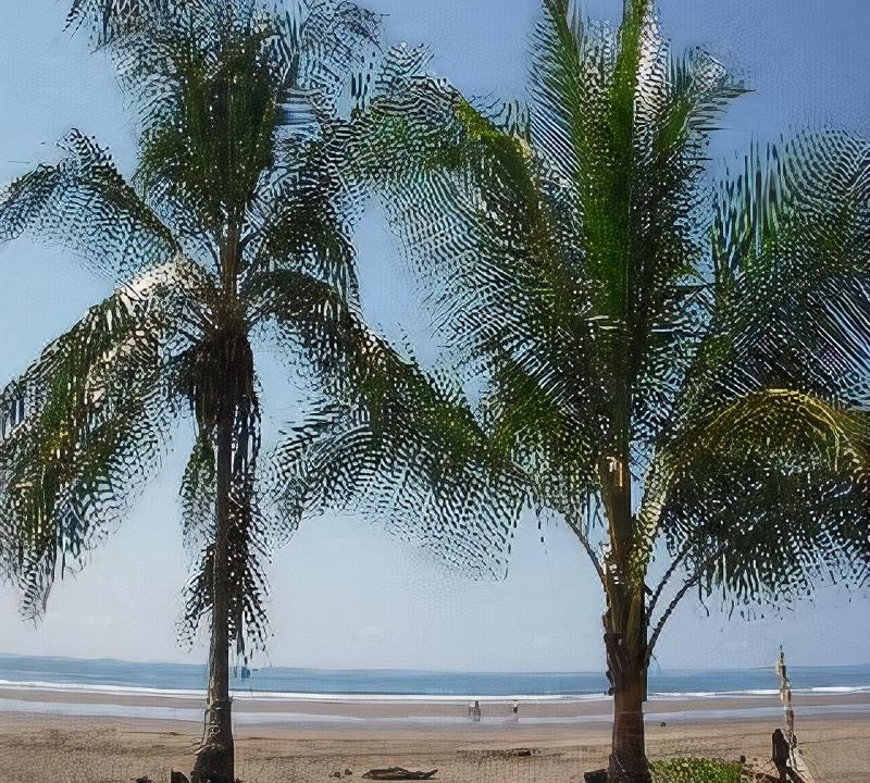 Photo of Outdoor in Bejuco
