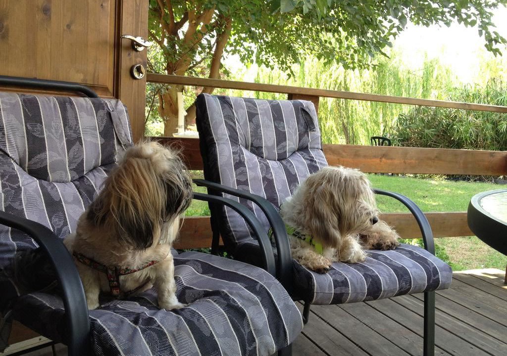 Photo of Patio Balcony in Lehavot HaBashan