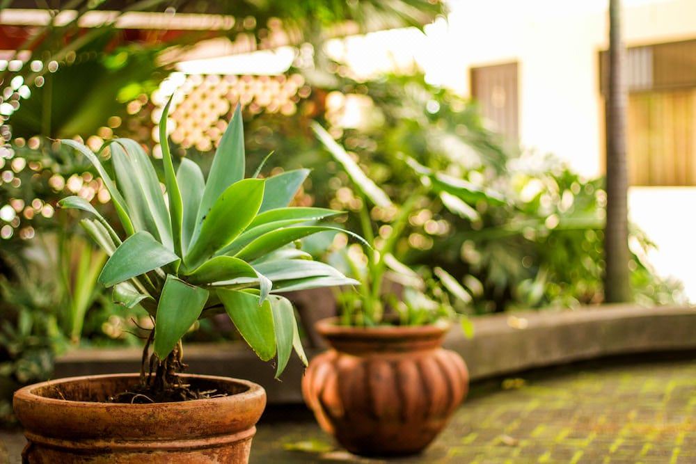 Photo of Patio Balcony in San Antonio de Belen