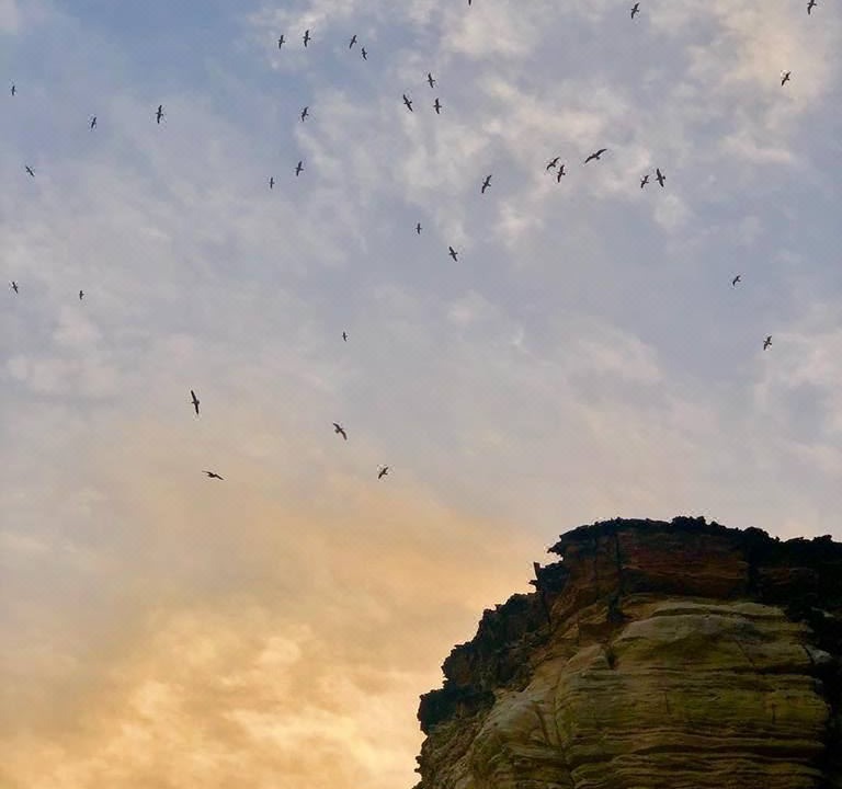 Photo of Outdoor in Al Hadd