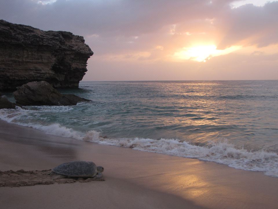 Photo of Outdoor in Al Hadd