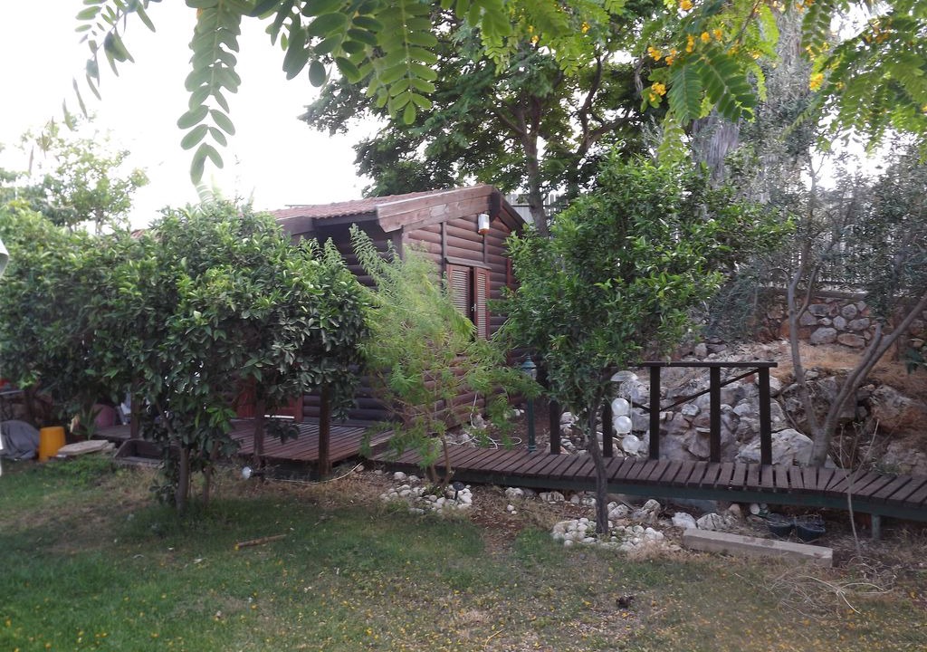 Photo of Others in Karmiel