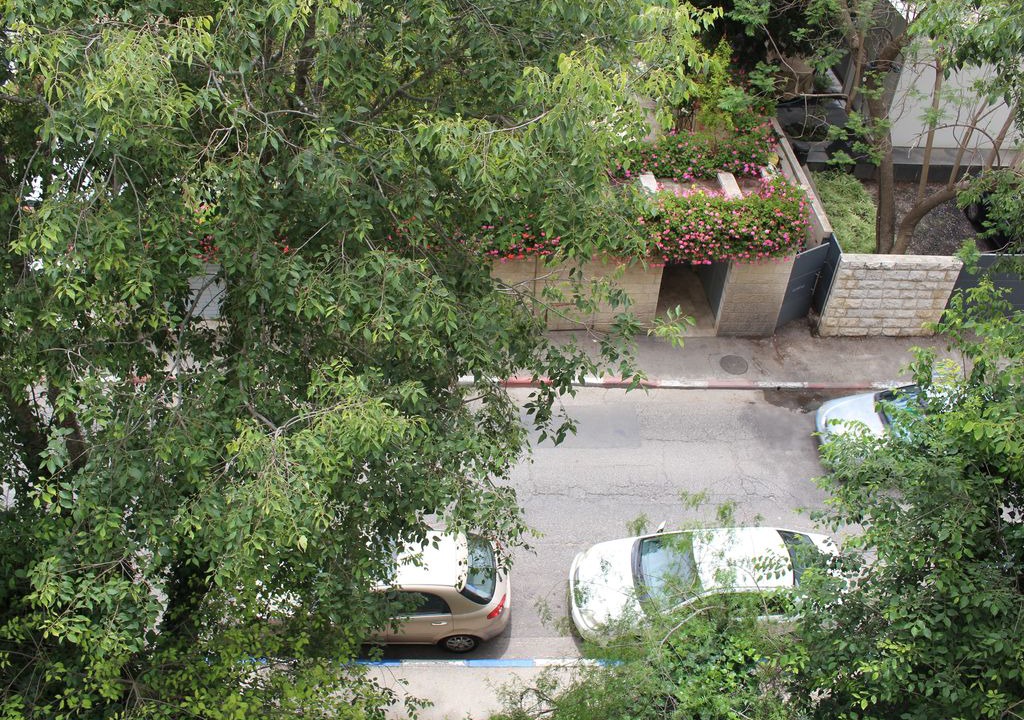Photo of Others in Talbieh