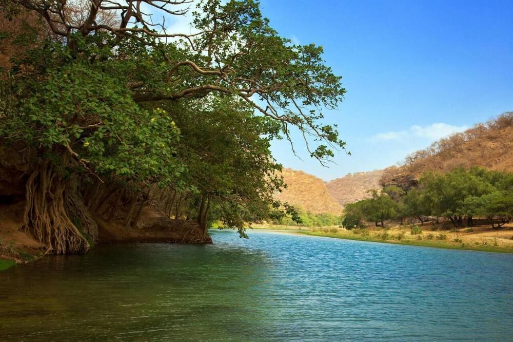 Photo of Outdoor in Salalah