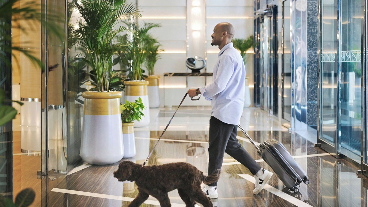 Photo of Others in Palm Jumeirah