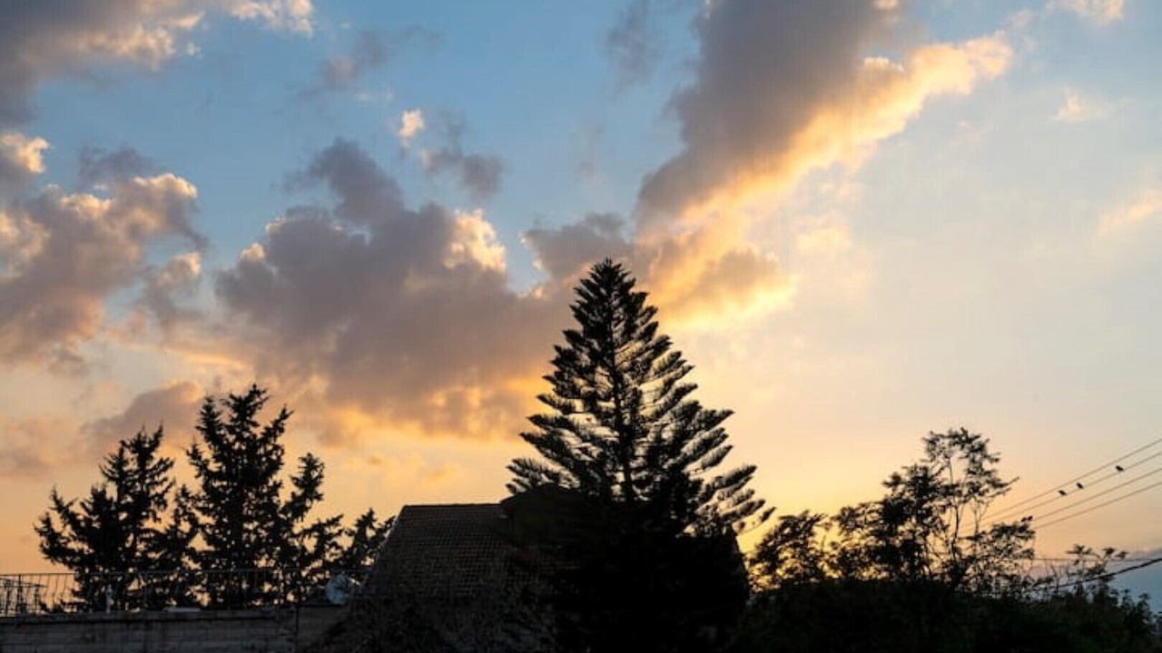 Photo of Outdoor in Livnim