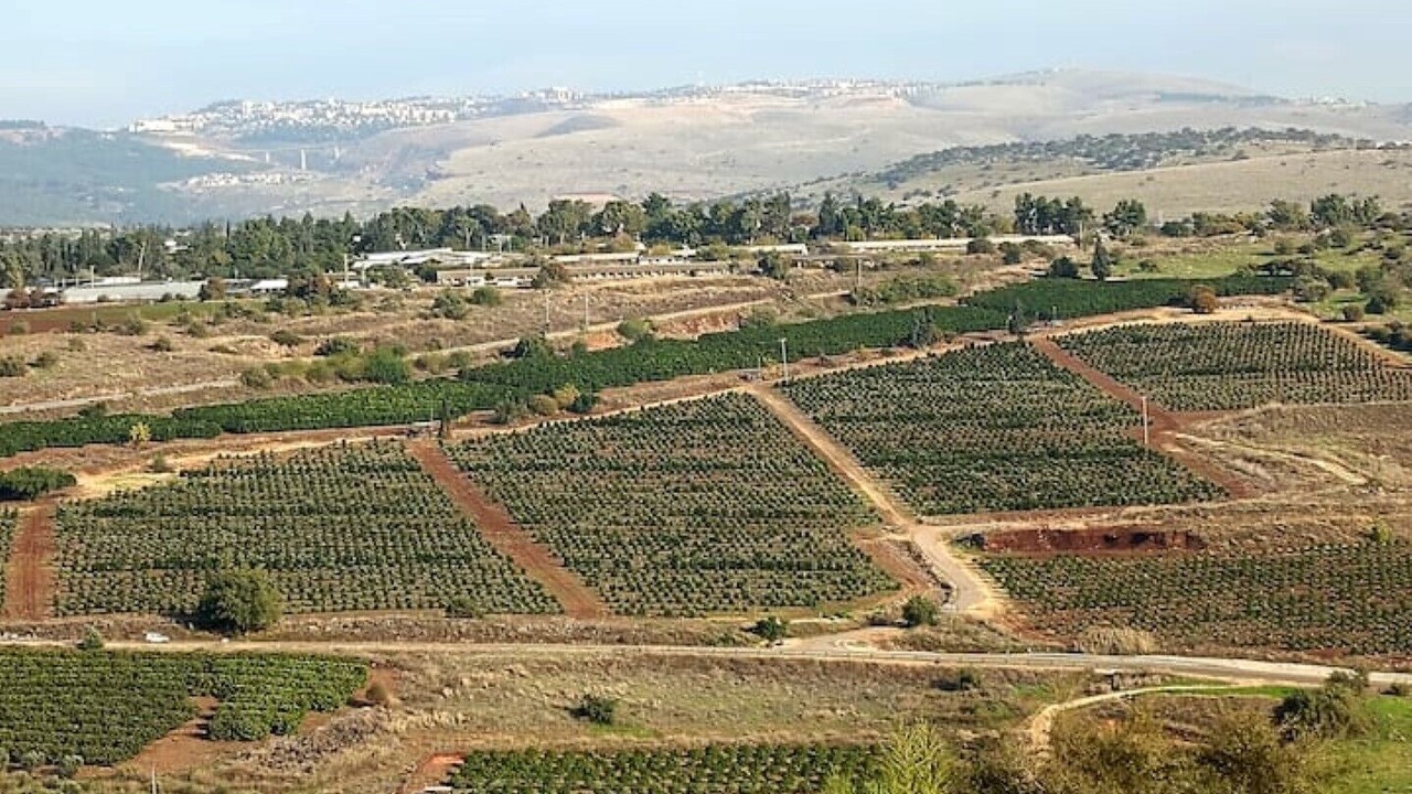 Photo of Outdoor in Livnim