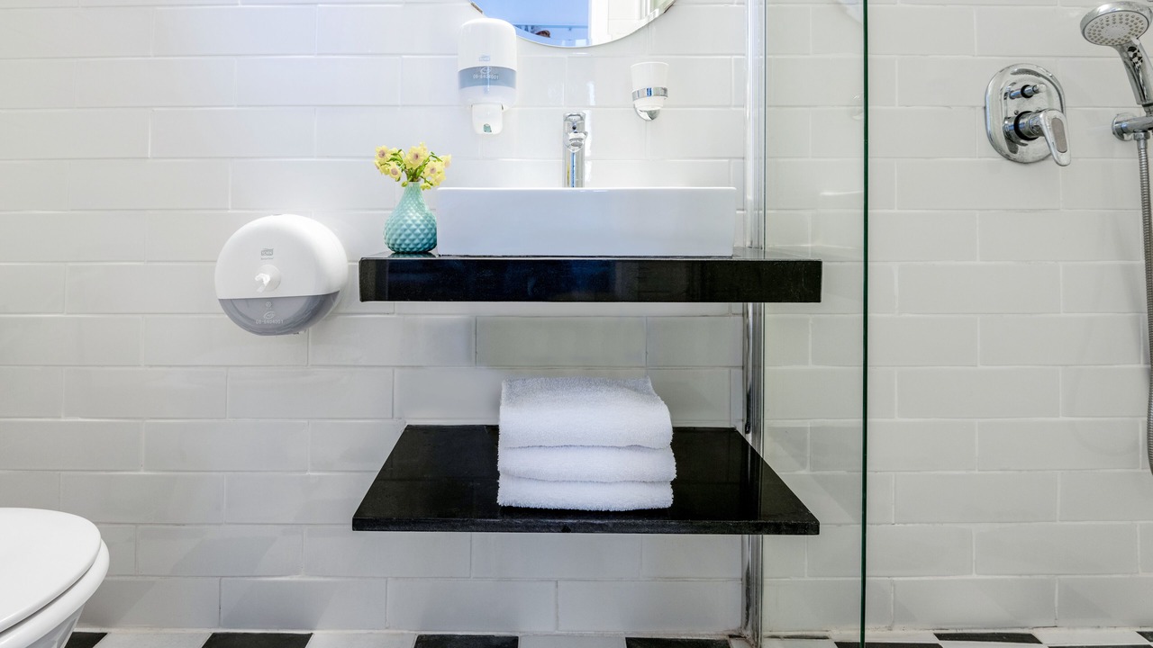 Photo of Bathroom in Metula