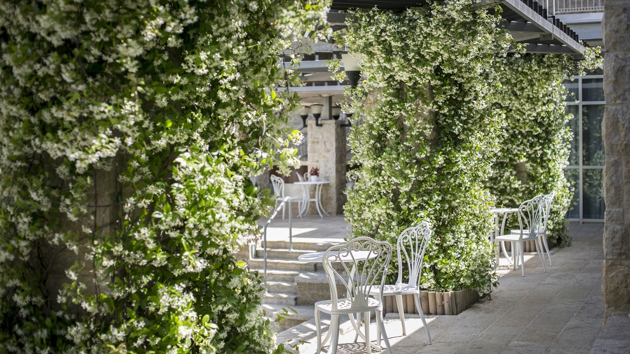 Photo of Patio Balcony in Jerusalem