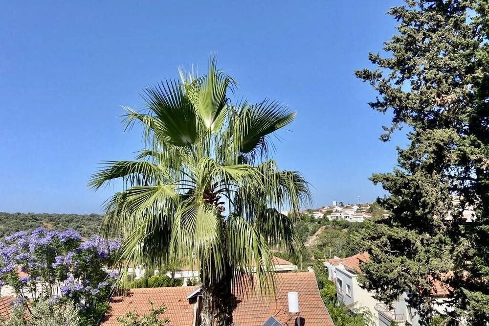 Photo of Outdoor in Zikhron Ya'aqov