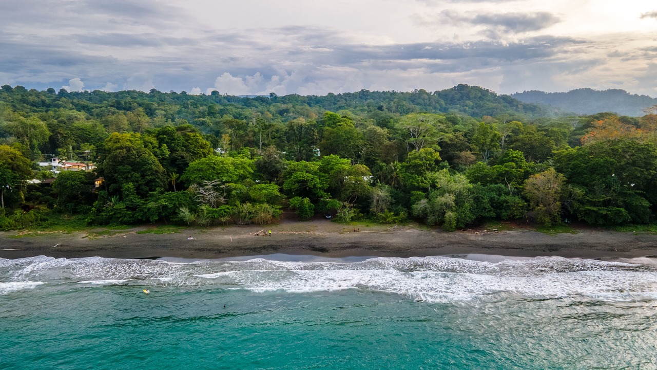 Photo of Others in Puerto Viejo de Talamanca