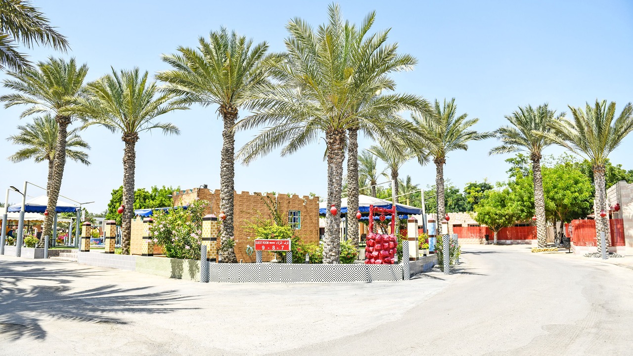 Photo of Outdoor in Musannah