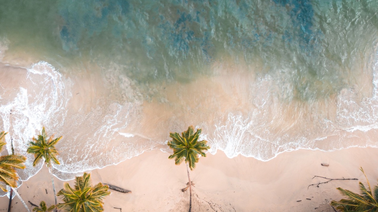 Photo of Others in Manzanillo