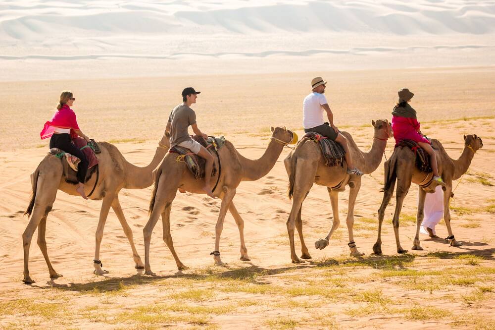 Photo of Others in Al Wasil
