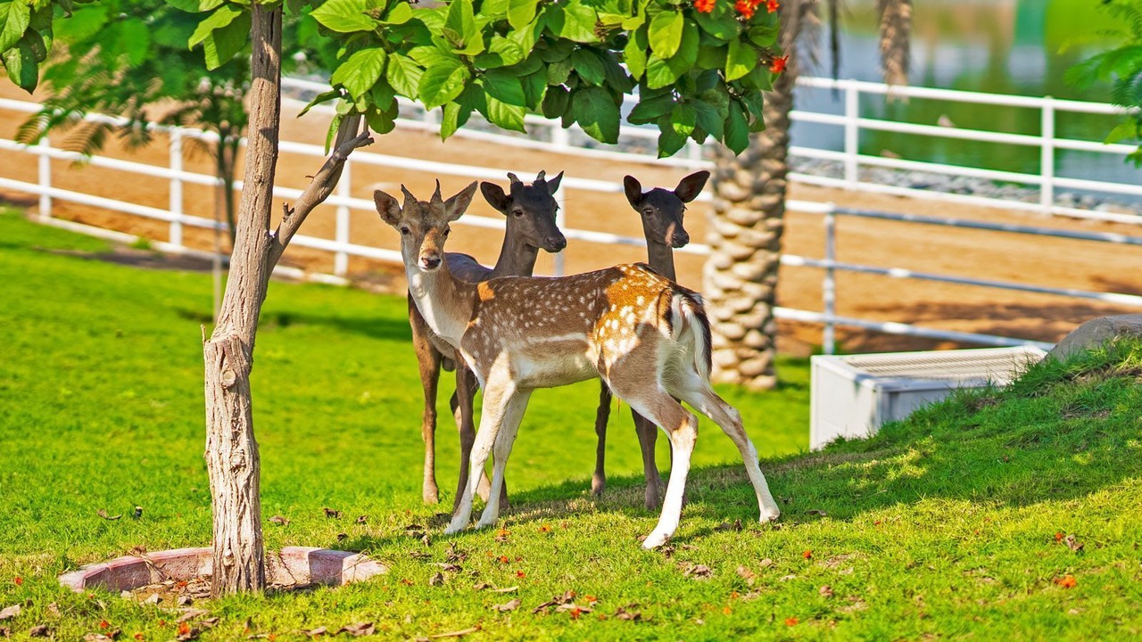 Photo of Outdoor in Ras Al Khaimah