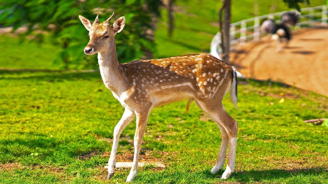Photo of Outdoor in Ras Al Khaimah