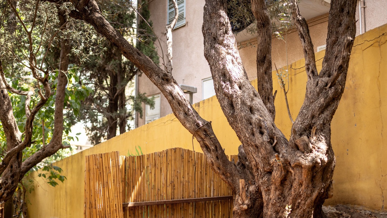 Photo of Outdoor in Haifa