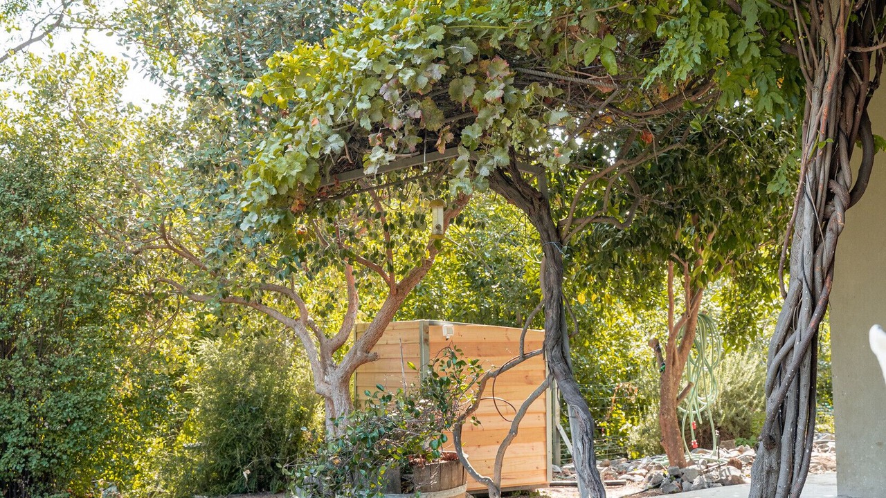 Photo of Outdoor in Giv'at Yo'av