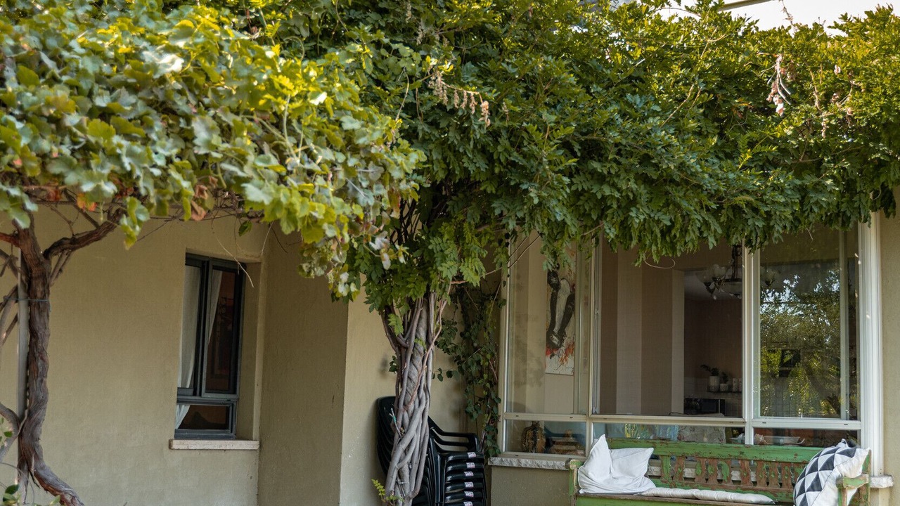 Photo of Outdoor in Giv'at Yo'av