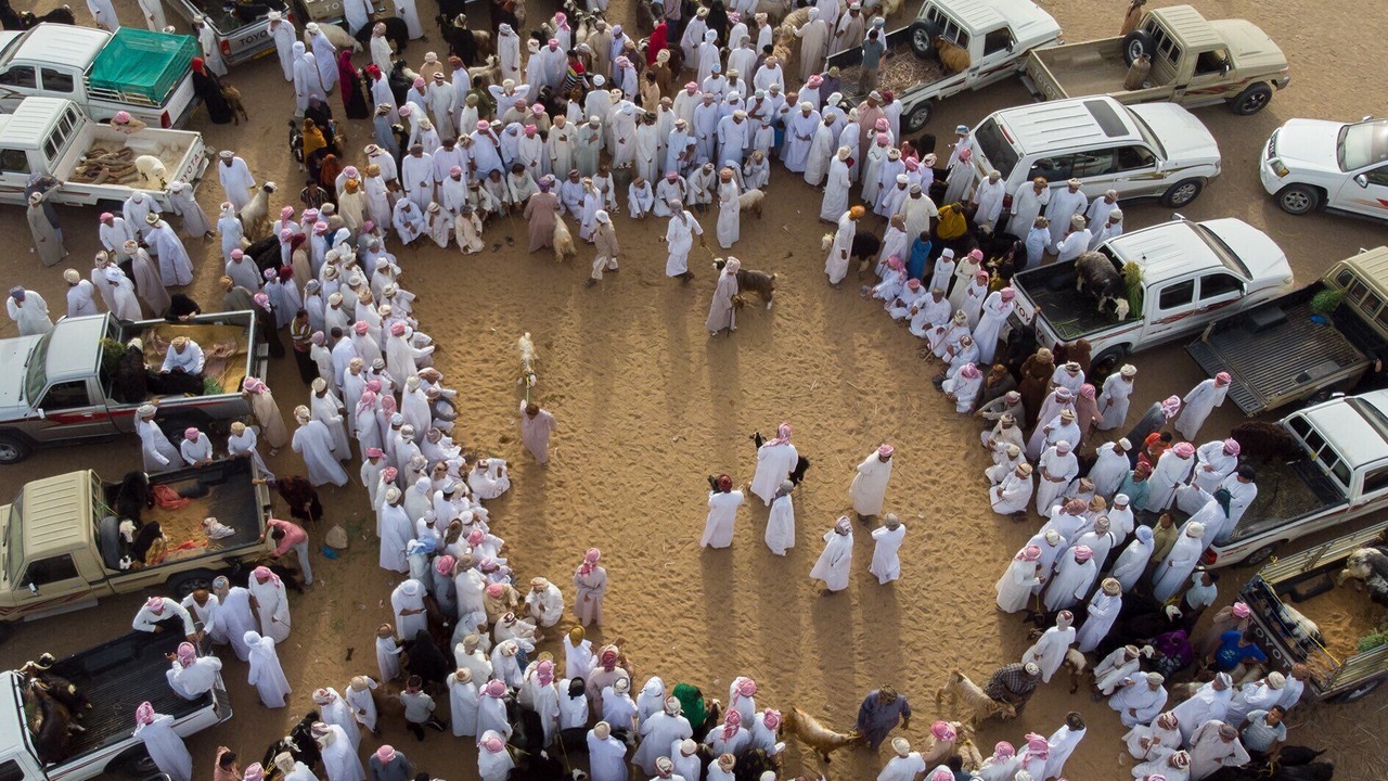Photo of Others in Al Wasil