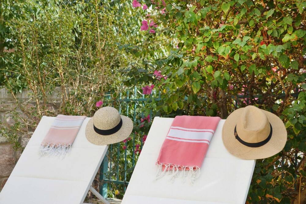 Photo of Outdoor in Eilat