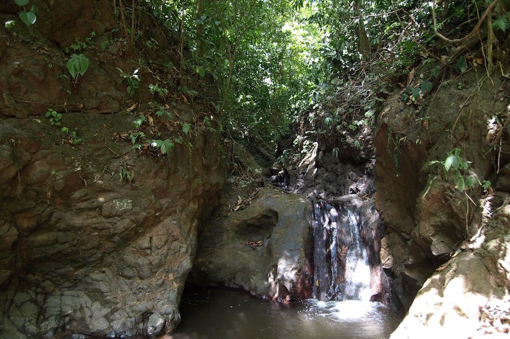 Photo of Outdoor in Los Angeles Chires