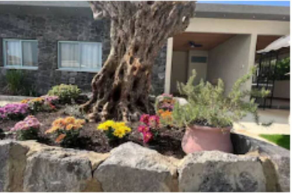 Photo of Outdoor in Yavne'el