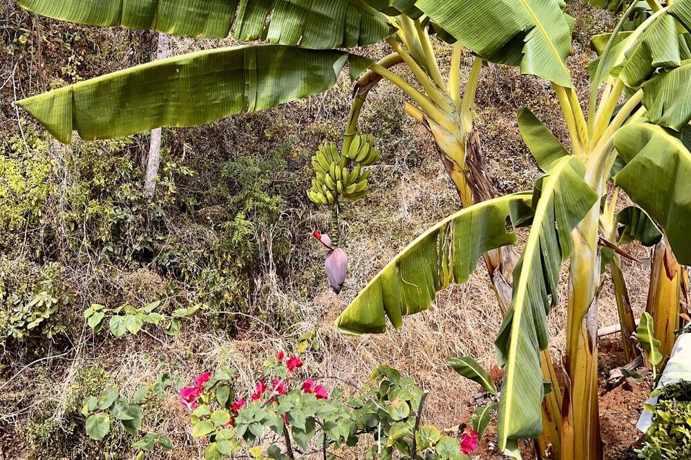 Photo of Outdoor in Matapala