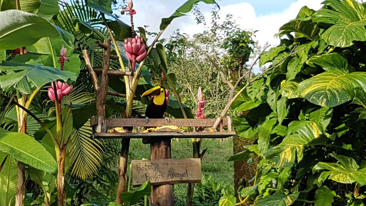 Photo of Outdoor in La Fortuna