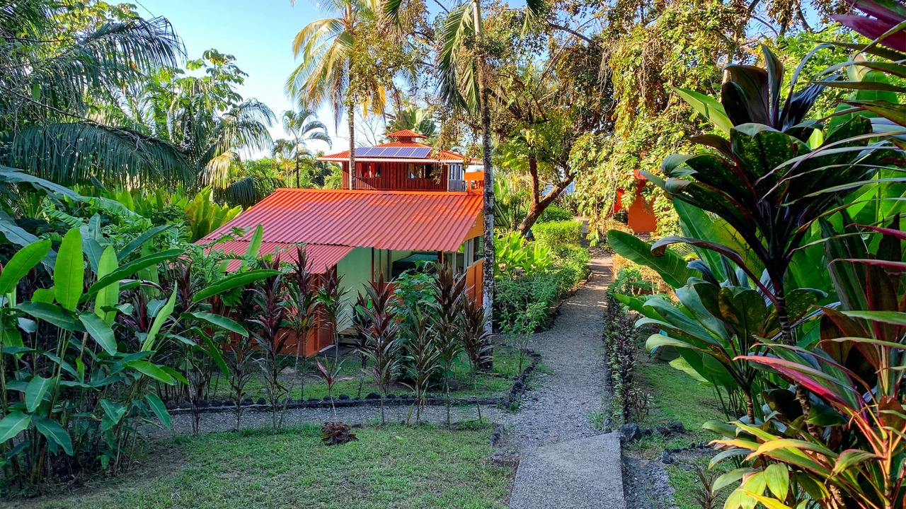 Photo of Outdoor in Drake Bay