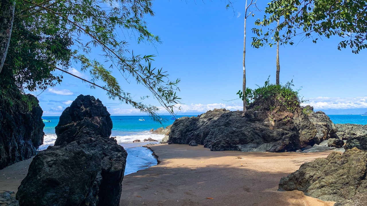 Photo of Others in Drake Bay