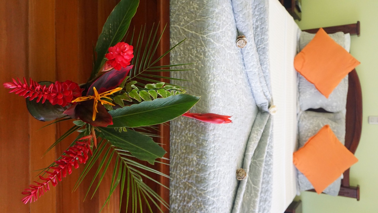 Photo of Bedroom in Puerto Jimenez